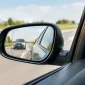 how to check blind spots before you move featured 85x85